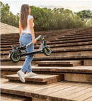 Bongo Serie D30 Elektrische Scooters